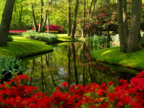 купить в минске искусственный водоем #12