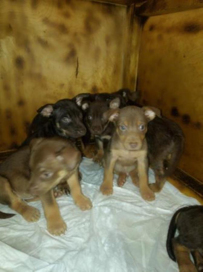 e Acaco ae oap Ke 1.10.2022 pe