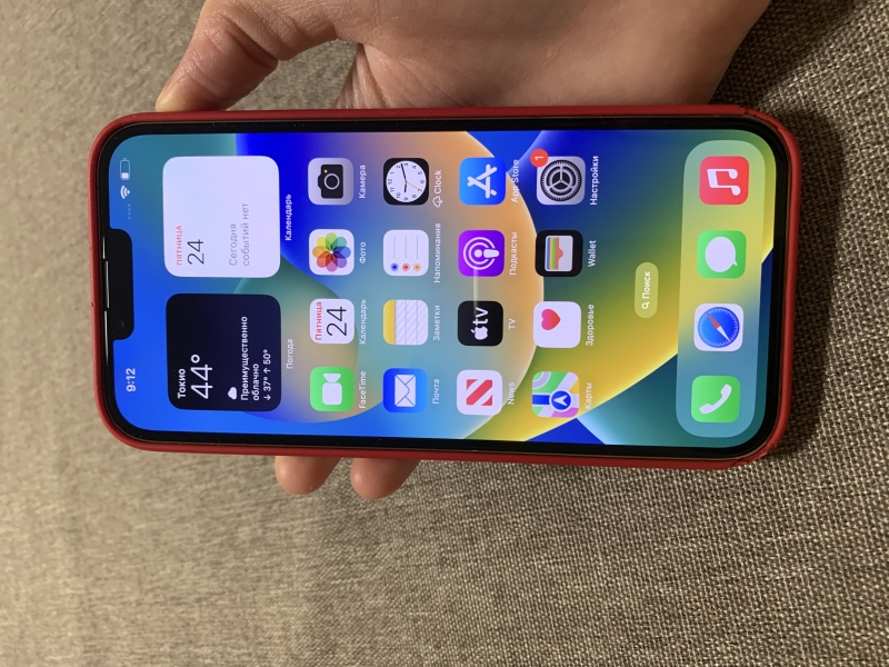 iPhone 13 Pro Max 256 