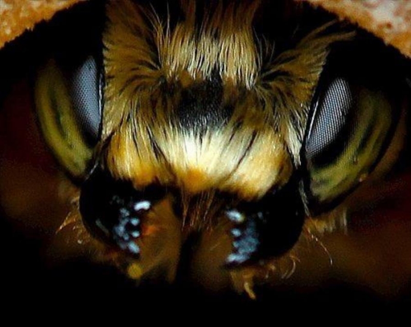 eo Kaaa, Kapa c a 2023 o