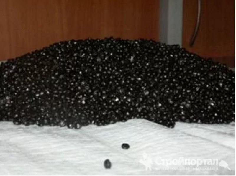 PT Maop aceoa eo-exec acoac