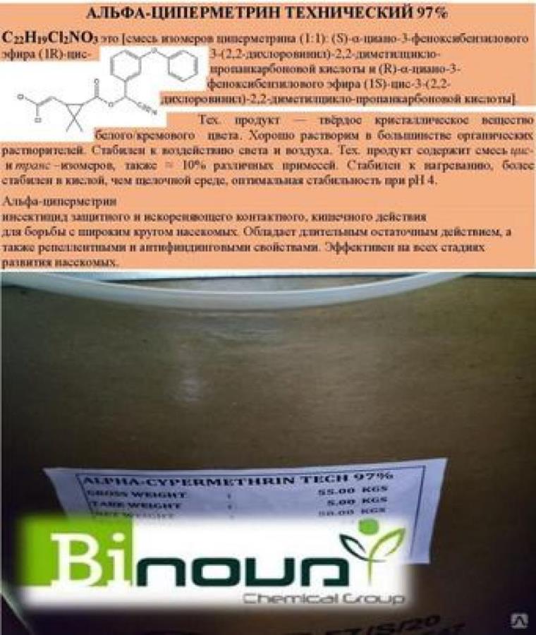 epep, pp, acyp, eo, pp