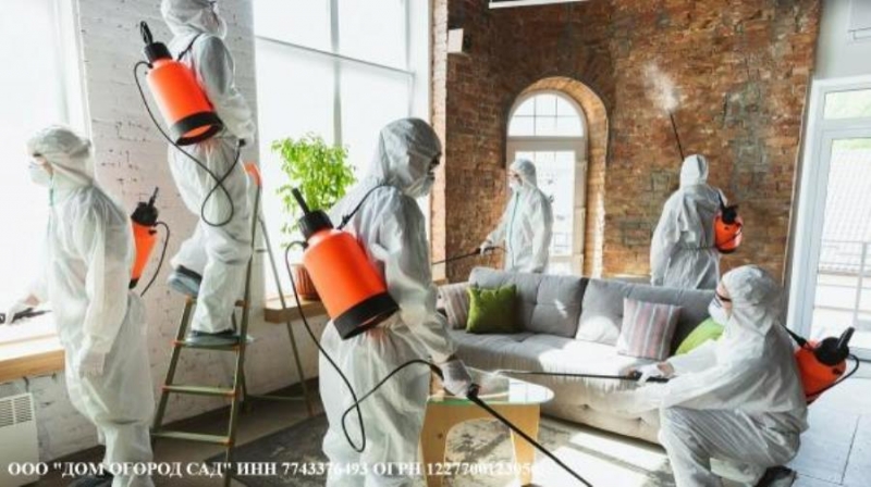 e cox, paa, pae, oo, ox. Moa