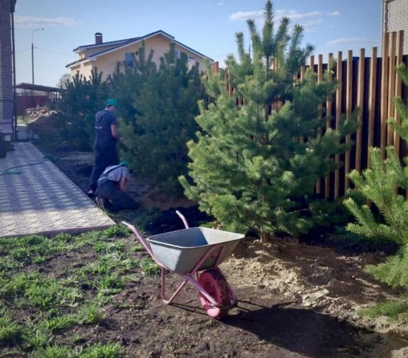 e epe - popee pe  oeee